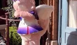 明星偷拍爆料视频大全集,揭秘明星隐私曝光背后的真相与争议